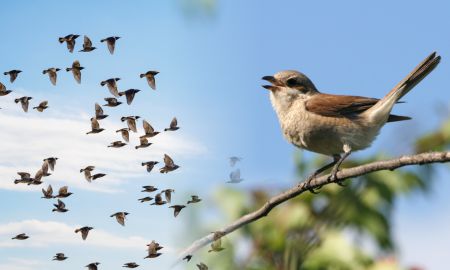 Sistema ecologico